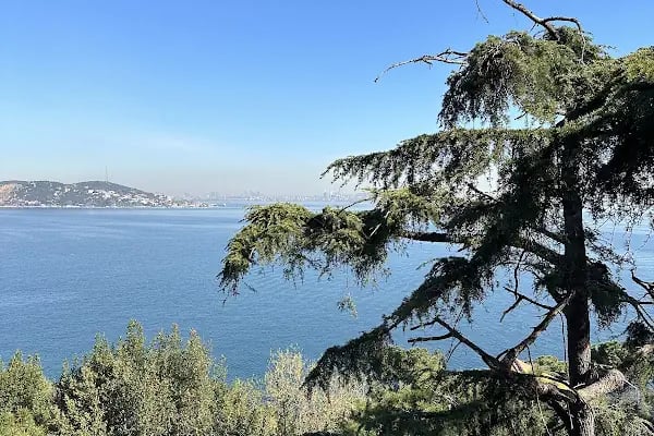 Burgazada Öğretmen Evi ve ASO - Resim 17