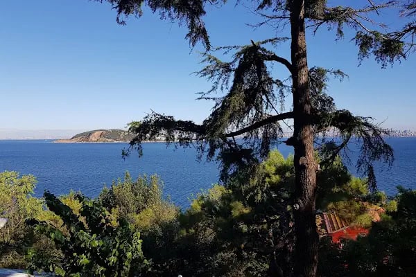 Burgazada Öğretmen Evi ve ASO - Resim 15