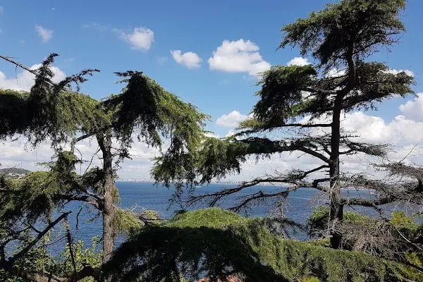 Burgazada Öğretmen Evi ve ASO - Resim 13