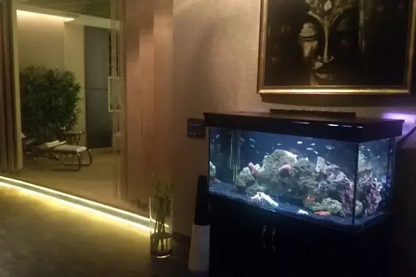 Eflin Vip SPA &amp; Masaj Salonu - Resim 5