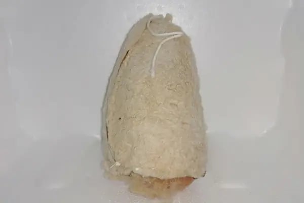 Komaroğlu AKÇAABAT - Resim 13