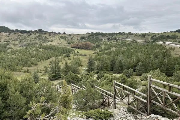 Süreyya Tabiat Parkı - Resim 14