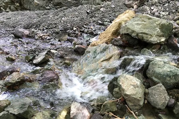 Süreyya Tabiat Parkı - Resim 16