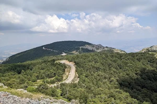 Süreyya Tabiat Parkı - Resim 6