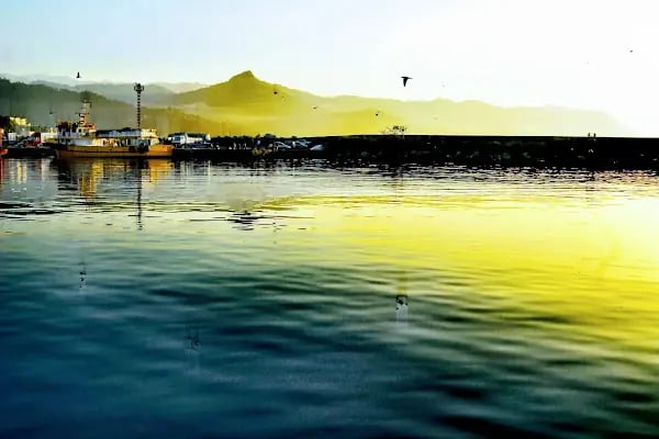 Hopa limanı - Resim 8