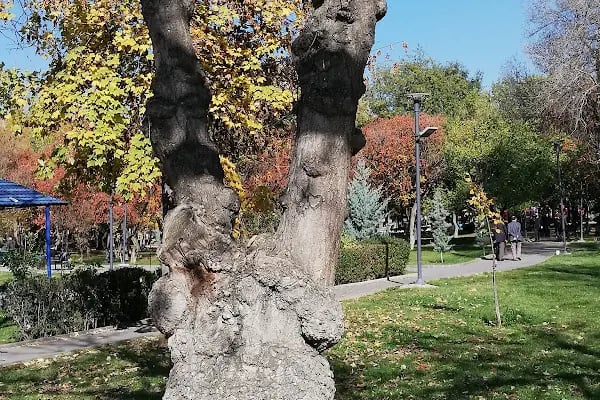 Kurtuluş Parkı - Resim 15