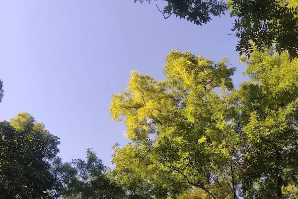 Kurtuluş Parkı - Resim 7