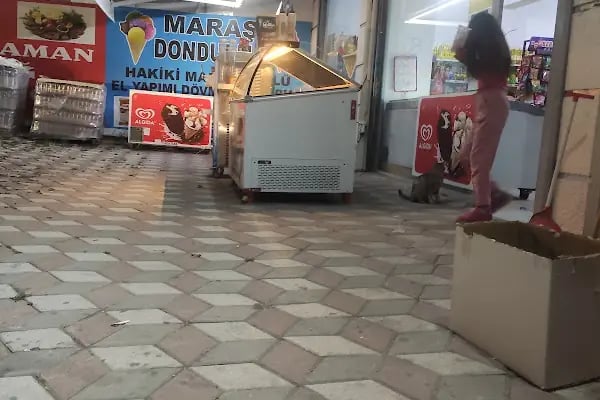 RAVZA MARKET - Resim 5