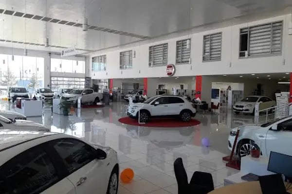 Odabaşı-Bal Fiat Yetkili Bayi - Resim 2