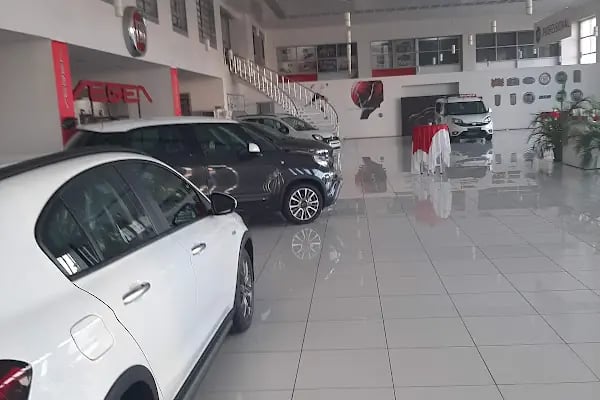 Odabaşı-Bal Fiat Yetkili Bayi - Resim 5