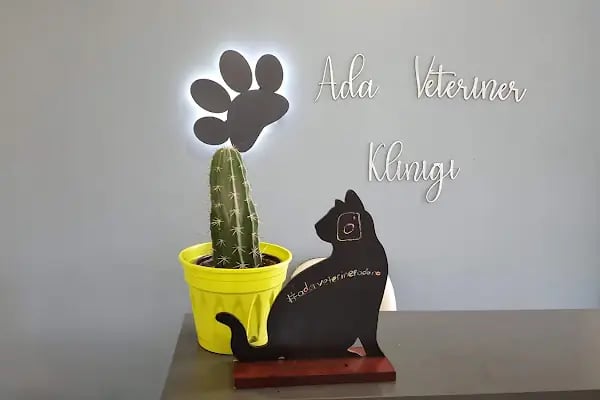 ADA VETERİNER KLİNİĞİ - Resim 4
