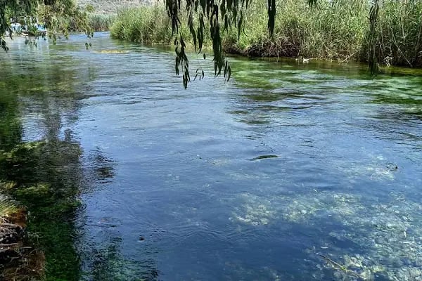 Sakar Seyir Terası Kafe - Resim 19