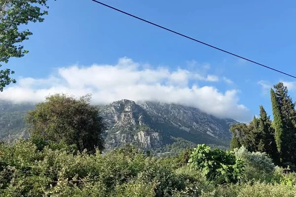Sakar Seyir Terası Kafe - Resim 11