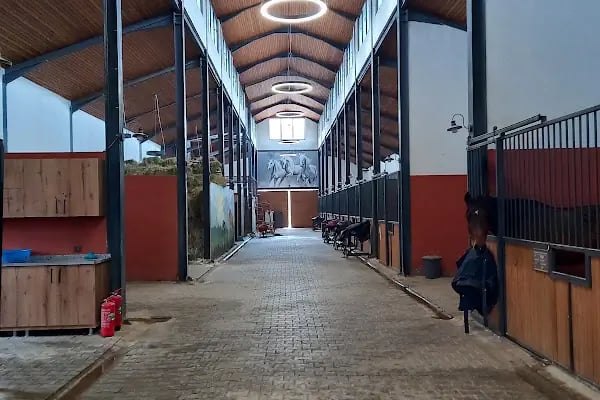 Şahinbey binicilik ve geleneksel sporlar merkezi - Resim 5