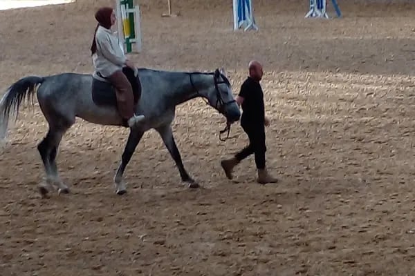 Şahinbey binicilik ve geleneksel sporlar merkezi - Resim 19