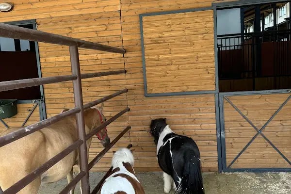 Şahinbey binicilik ve geleneksel sporlar merkezi - Resim 10