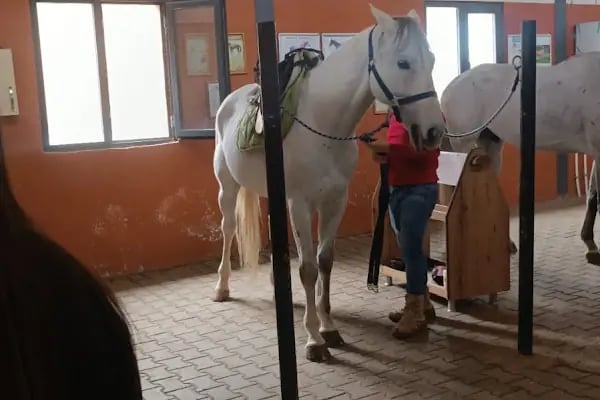 Şahinbey binicilik ve geleneksel sporlar merkezi - Resim 20