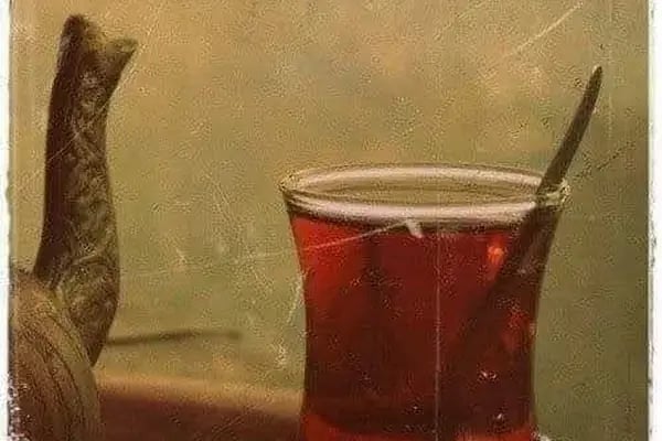 LEZİZHAN ÇİĞKÖFTE ASİYE HATUN'UN YERI - Resim 8