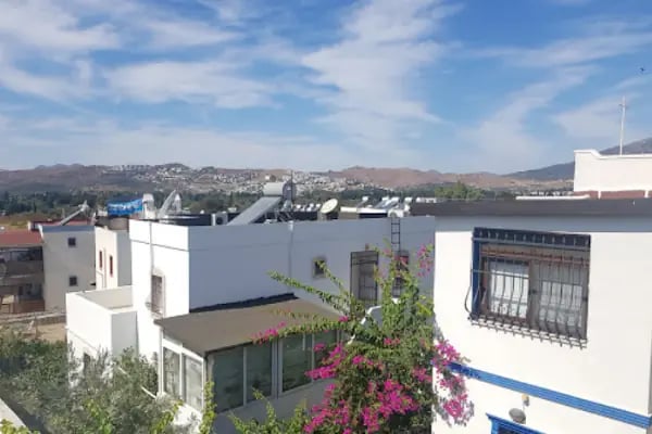 Delfin Hotel - Resim 13