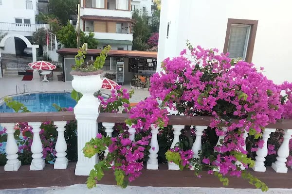 Delfin Hotel - Resim 19