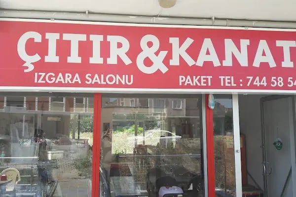 Çıtır kanat - Resim 15