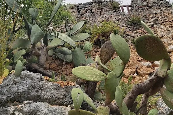 ALANYA TELEFERİK-Kale - Resim 18