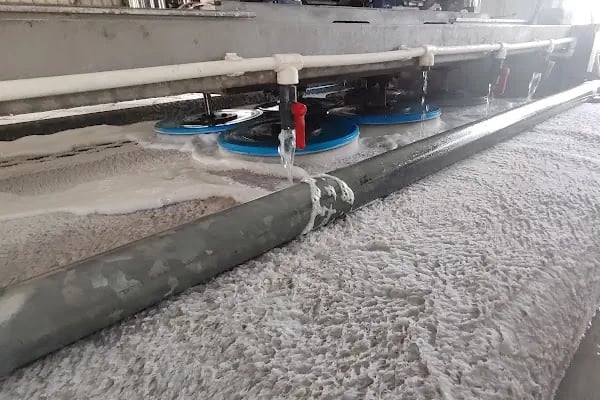 TAŞDELEN HALI YIKAMA FABRİKASI - Resim 5