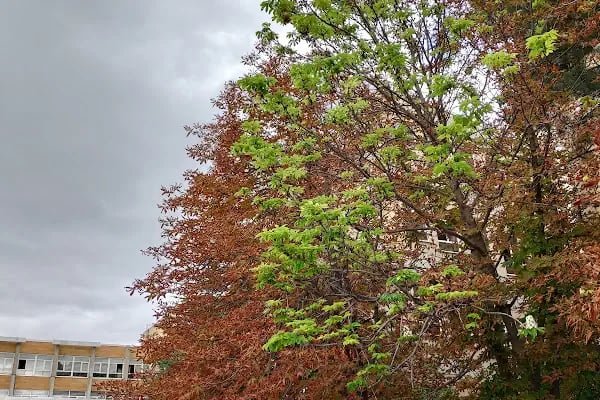Hacettepe Üniversitesi Tıp Fakültesi - Resim 12