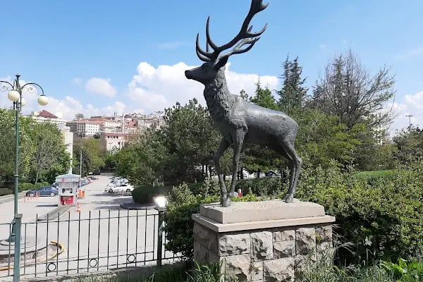Hacettepe Üniversitesi Tıp Fakültesi - Resim 3