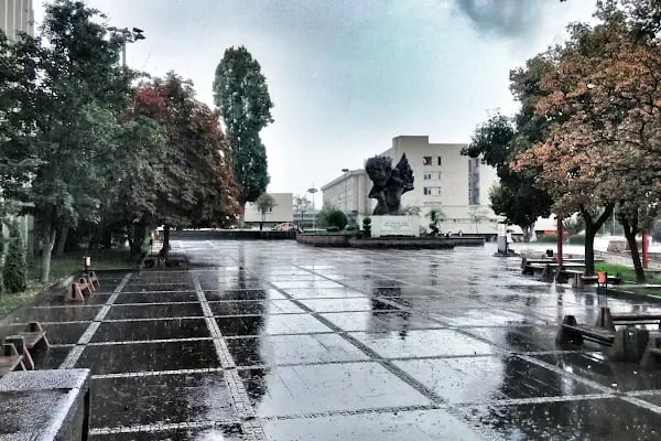 Hacettepe Üniversitesi Tıp Fakültesi - Resim 17