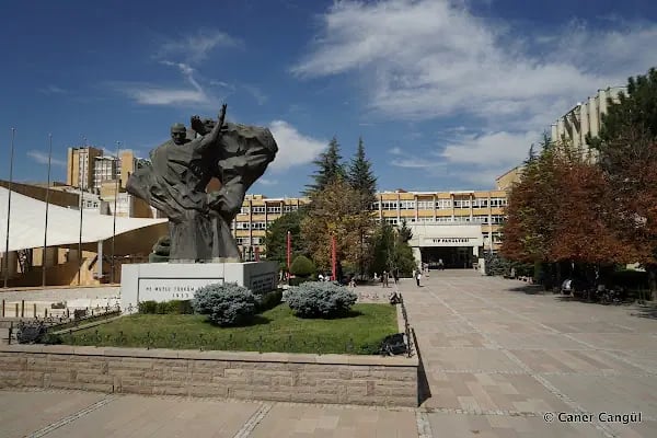 Hacettepe Üniversitesi Tıp Fakültesi - Resim 4