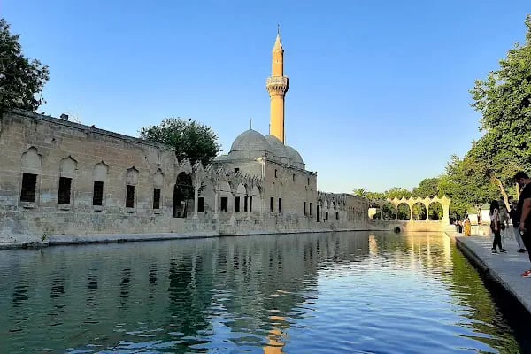 Şeyh Ali Dede Türbesi( Şazeli Şeyhi ) - Resim 3
