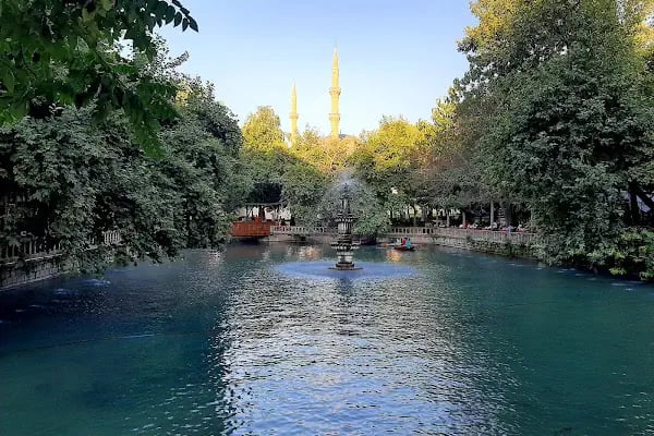 Şeyh Ali Dede Türbesi( Şazeli Şeyhi ) - Resim 15