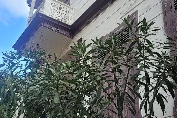 Reşat Nuri Güntekin Evi - Resim 13