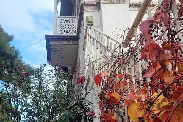 Reşat Nuri Güntekin Evi - Resim 8