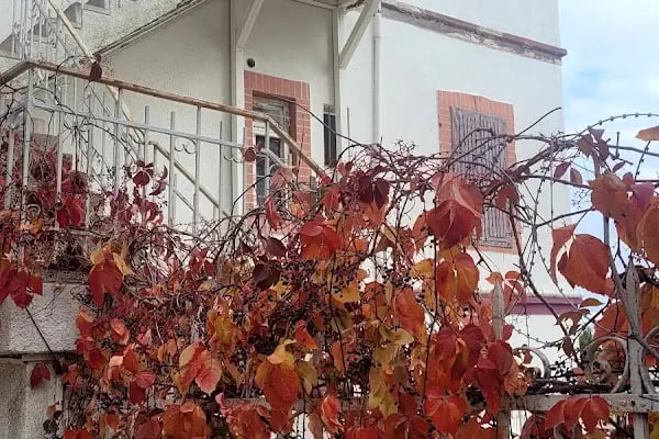 Reşat Nuri Güntekin Evi - Resim 7