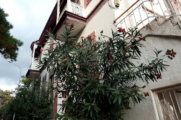 Reşat Nuri Güntekin Evi - Resim 16
