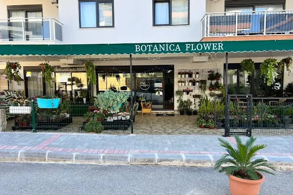 Botanica Flower - Resim 1