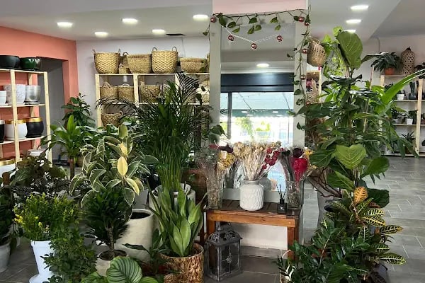 Botanica Flower - Resim 8