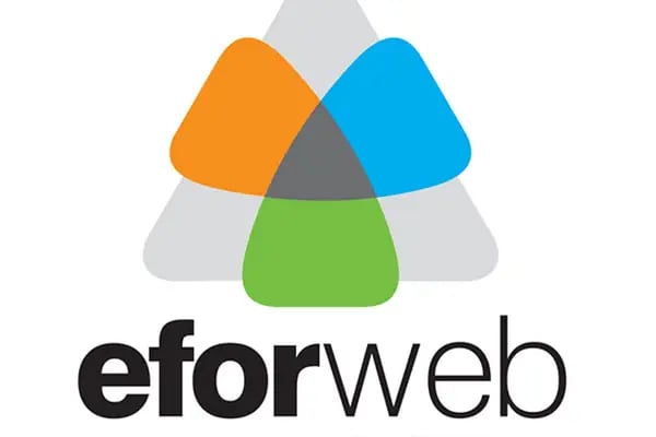 Mersin Web Tasarım | EFORWEB Ajans Yazılım - Resim 5