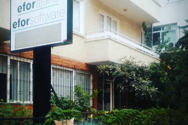 Mersin Web Tasarım | EFORWEB Ajans Yazılım - Resim 2
