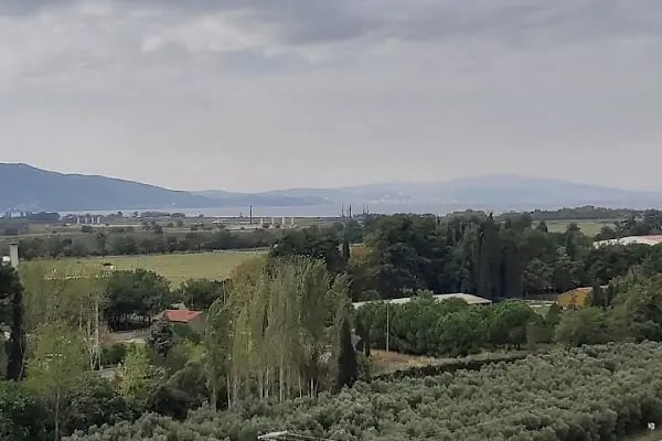 Rodaport Antrepo ve Lojistik İşletmesi - Resim 5