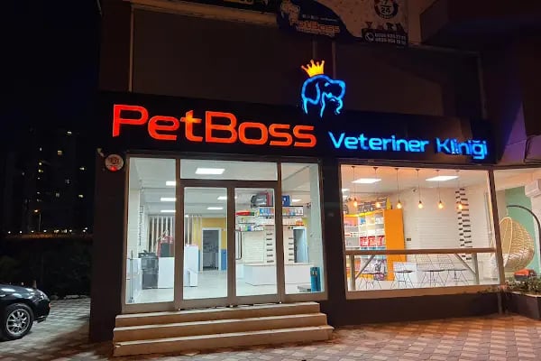 Adana Veteriner Kliniği PetBoss Sarıçam - Resim 9
