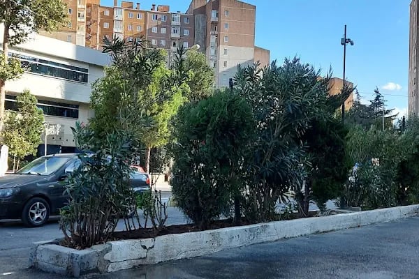 Beylikdüzü Büyükşehir Bizimkent Taksi - Resim 6