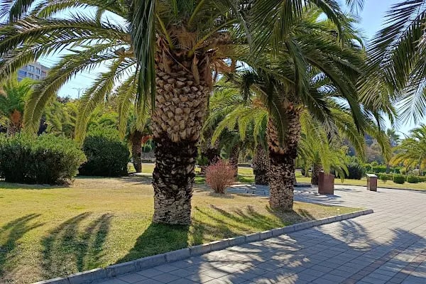 Aliağa Belediyesi Öğretmenler Lokali - Resim 8