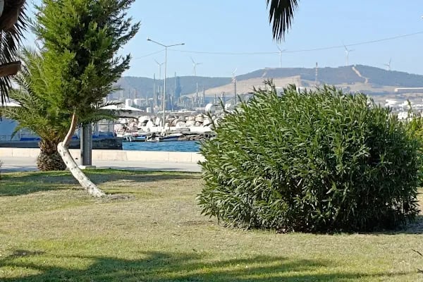 Aliağa Belediyesi Öğretmenler Lokali - Resim 10