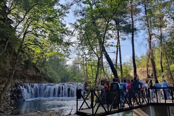 Yedigöze Orman Parkı - Resim 18