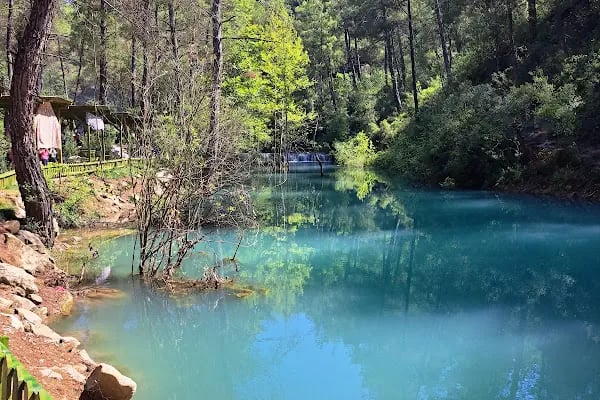 Yedigöze Orman Parkı - Resim 4