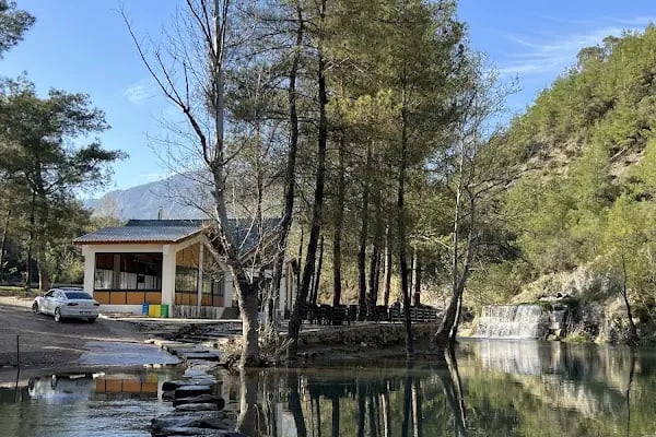 Yedigöze Orman Parkı - Resim 6