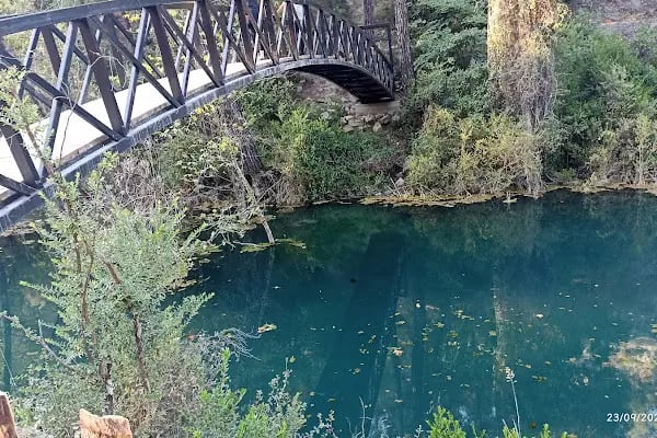 Yedigöze Orman Parkı - Resim 8